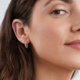 Kolczyki Layla Gold Twist